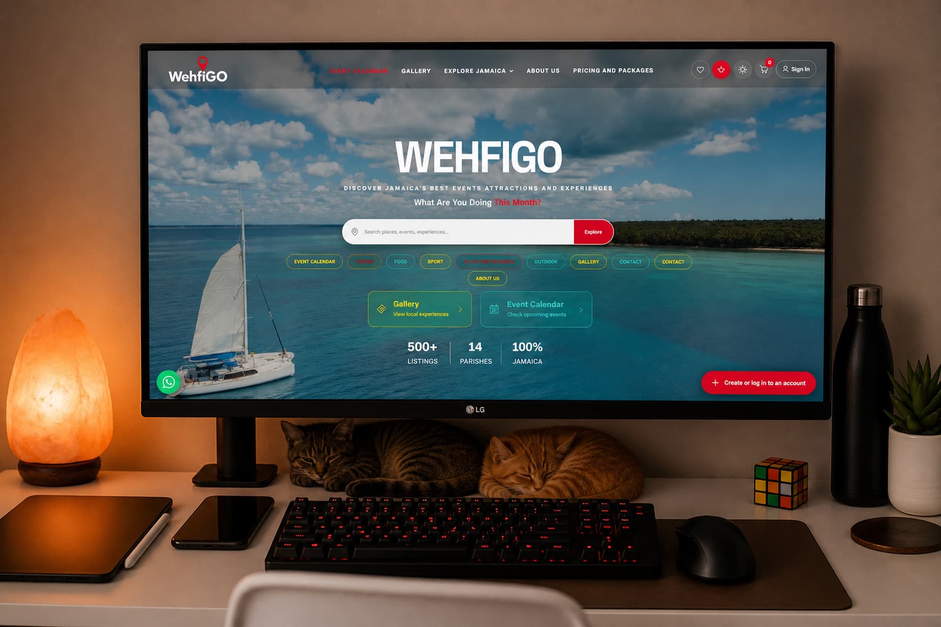 WehFiGo team project